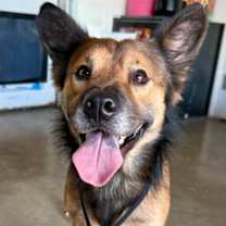 Thumbnail photo of Sid #1