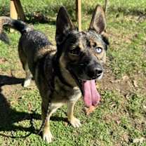 Thumbnail photo of Bear #3