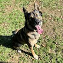 Thumbnail photo of Bear #4