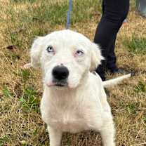 Thumbnail photo of Blizzard #1