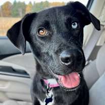 Thumbnail photo of Vida #1