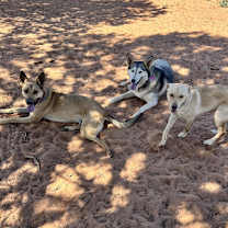 Thumbnail photo of Nina #3