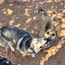 Thumbnail photo of Nina #4