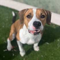 Thumbnail photo of Tornader #1