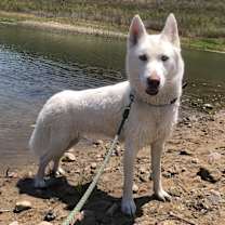 Thumbnail photo of Yeti #3