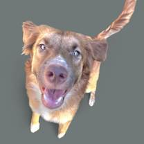 Thumbnail photo of Michelangelo. #2