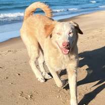 Thumbnail photo of Raleigh Jah #1