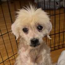 Thumbnail photo of Beverly #4