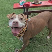 Thumbnail photo of Jake #3