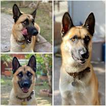 Thumbnail photo of Ivan and Igor #2