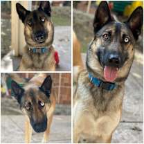 Thumbnail photo of Ivan and Igor #3