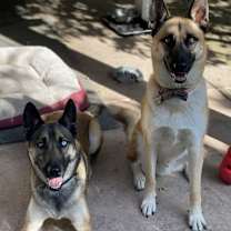 Thumbnail photo of Ivan and Igor #4