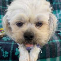 Thumbnail photo of Skittles #3