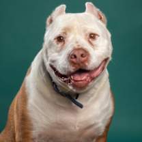 Thumbnail photo of Tex #2