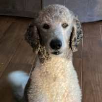 Thumbnail photo of Molly Jane * #2