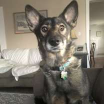 Thumbnail photo of Tilly #4