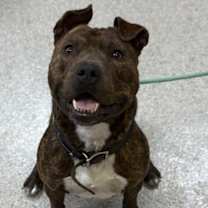 Thumbnail photo of Jet #3