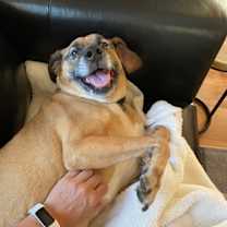 Thumbnail photo of Perry #3