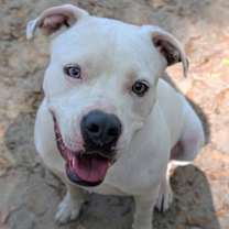 Thumbnail photo of Leon #1