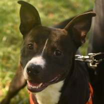 Thumbnail photo of Kiko #3