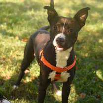 Thumbnail photo of Kiko #4