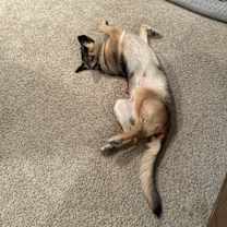 Thumbnail photo of Jaxx #4