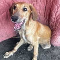 Thumbnail photo of Ripple #4