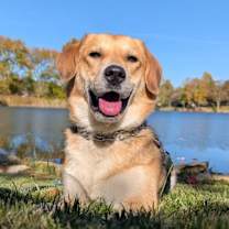 Thumbnail photo of QUEENIE #1