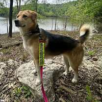 Thumbnail photo of QUEENIE #4