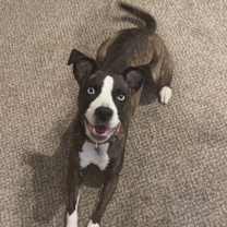 Thumbnail photo of Fiona #1