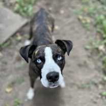 Thumbnail photo of Fiona #2