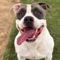 Thumbnail photo of Kodak #1