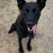 Thumbnail photo of Bellalicious #2