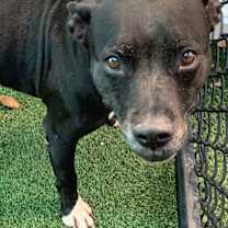 Thumbnail photo of Sasha #3