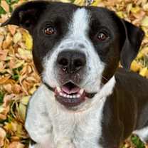 Thumbnail photo of Tux #1