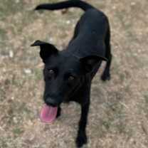 Thumbnail photo of Bellalicious #3