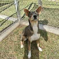 Thumbnail photo of CELI #2