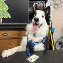 Thumbnail photo of Jared #1