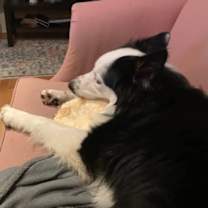 Thumbnail photo of Jared #2