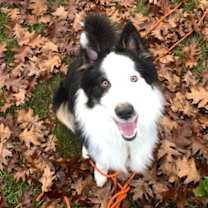 Thumbnail photo of Jared #3