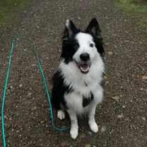 Thumbnail photo of Jared #4