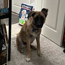 Thumbnail photo of Odin #4