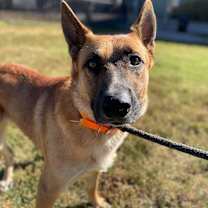 Thumbnail photo of Kiser #1