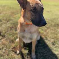 Thumbnail photo of Kiser #2