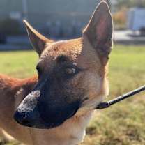 Thumbnail photo of Kiser #3