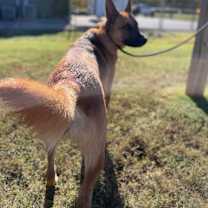 Thumbnail photo of Kiser #4