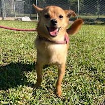 Thumbnail photo of Brooks #2