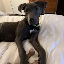 Thumbnail photo of Ashford #2