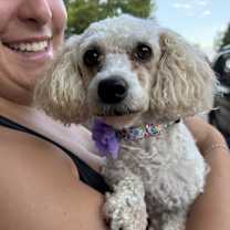 Thumbnail photo of Amber4 #2