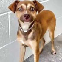 Thumbnail photo of Ned #4